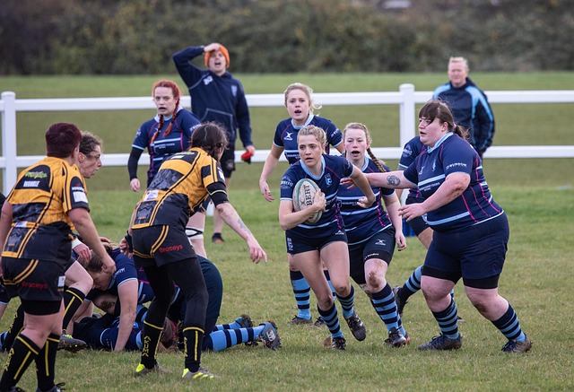 这份续约合 这份续约合