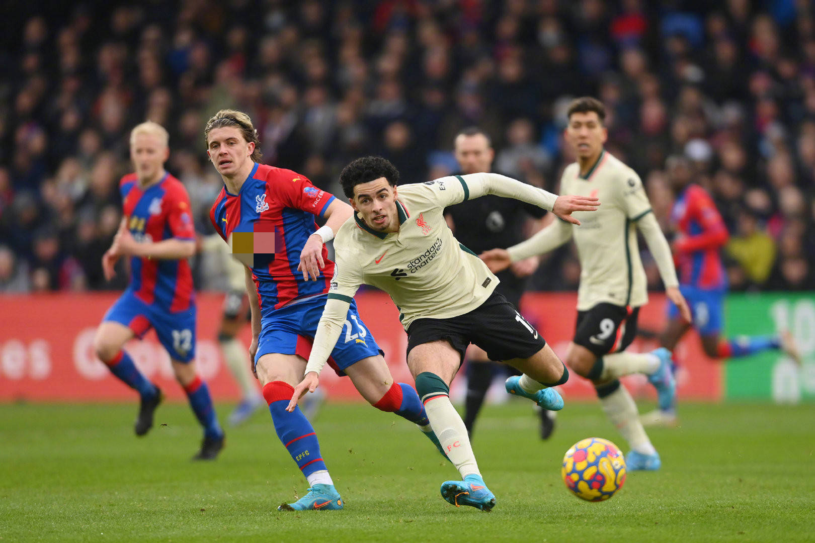 甚至在几个 甚至在几个