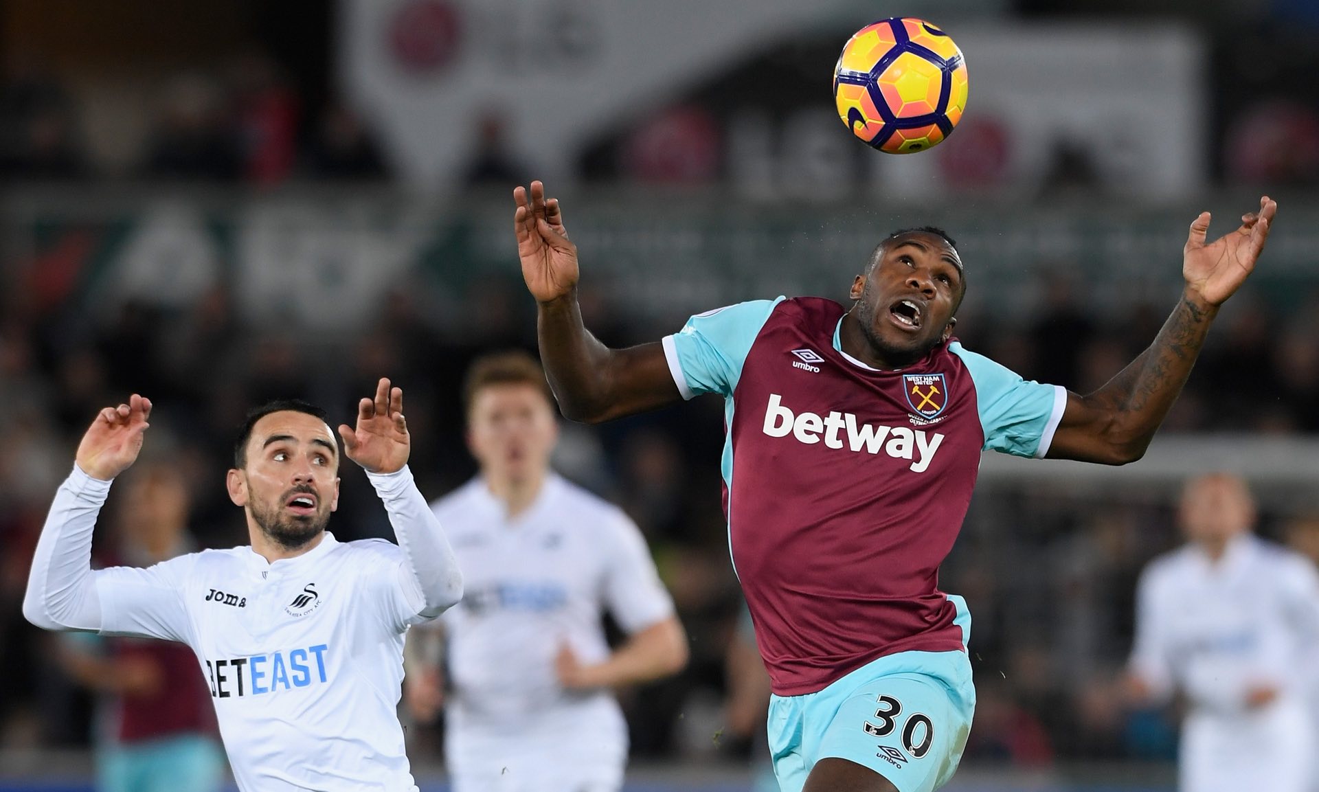 许主力球员 许主力球员